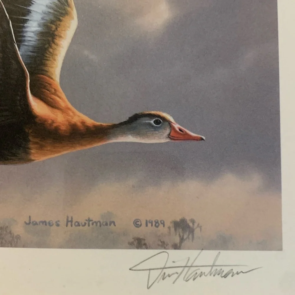 1989 Migratory Bird Hunting Duck Stamp Printd